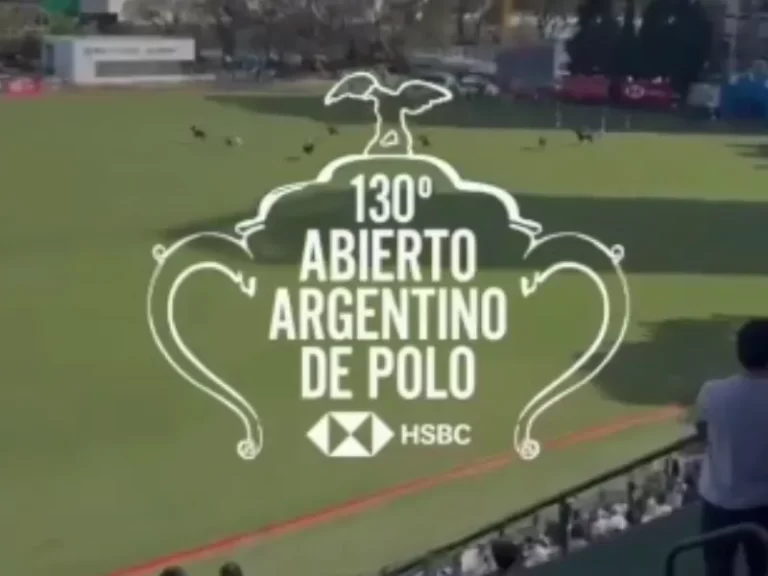 Ha Emprendimientos, abierto argentino de polo, evento de polo, eventos HA, comunidad HA