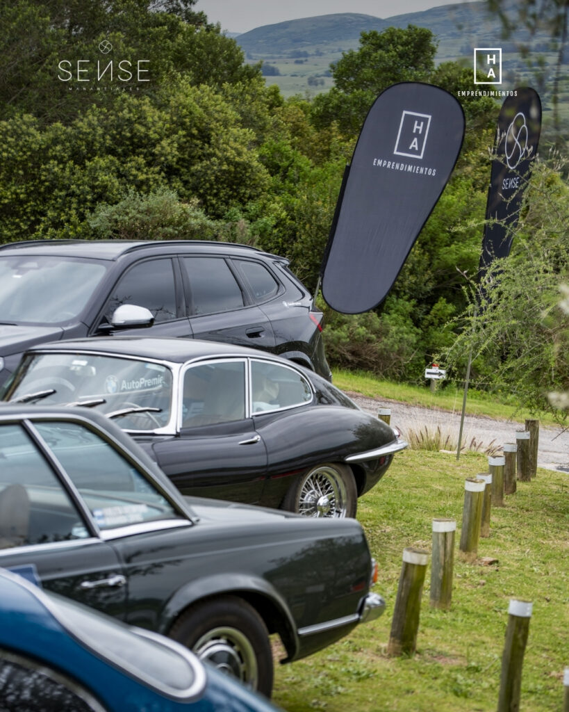 haemprendimientos-autiq-sensemanantiales-uruguay (3)