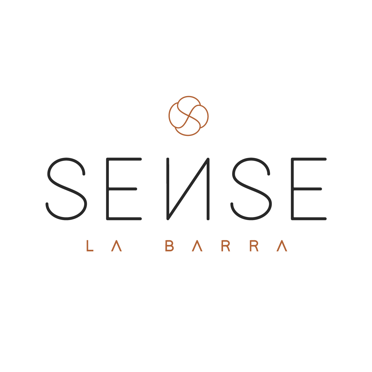 logo Logo SENSE La Barra color sin fondo 1
